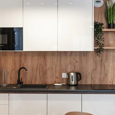 K Z Sauna, Sun & Snow Apartmán Białka Tatrzańska