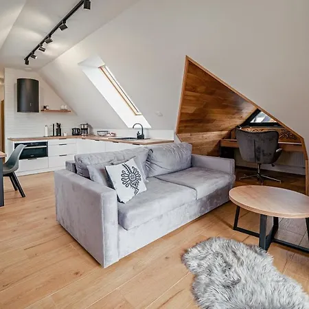 K Z Sauna, Sun & Snow Apartmán Białka Tatrzańska